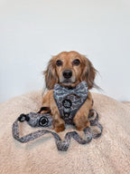 Dog Waste Bag Holder product image 4