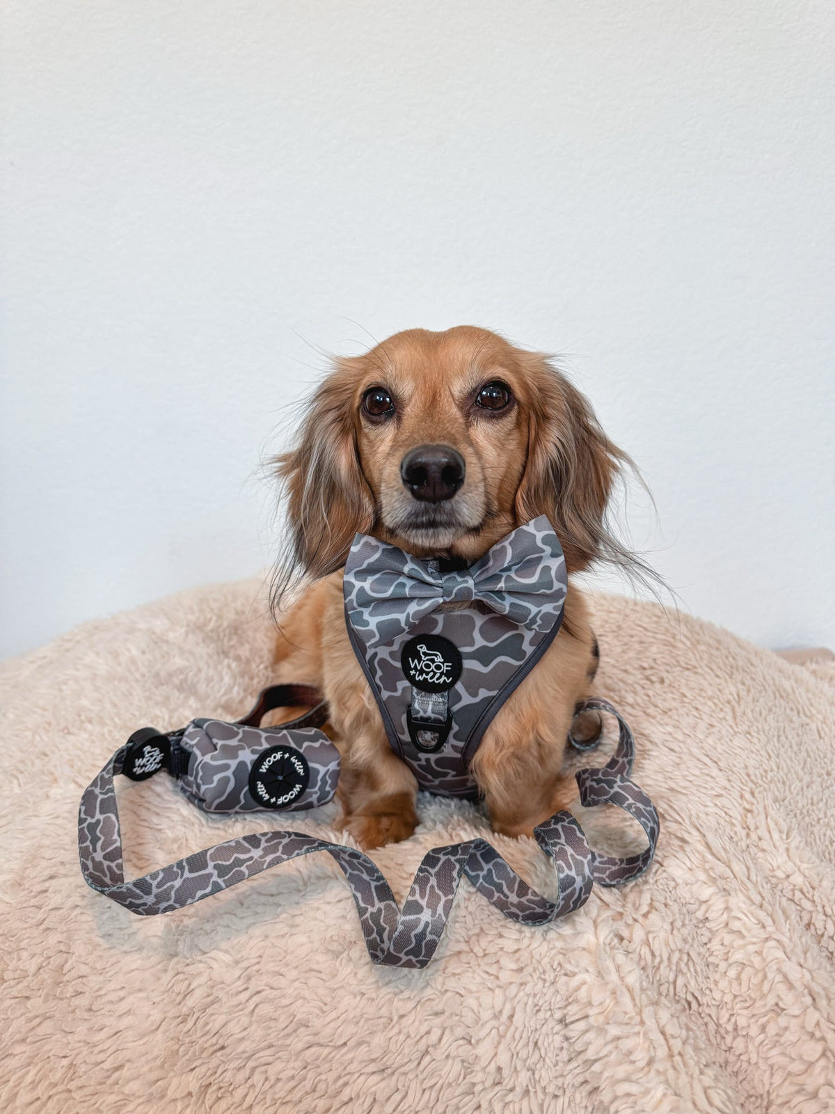 Dog Waste Bag Holder product image 4
