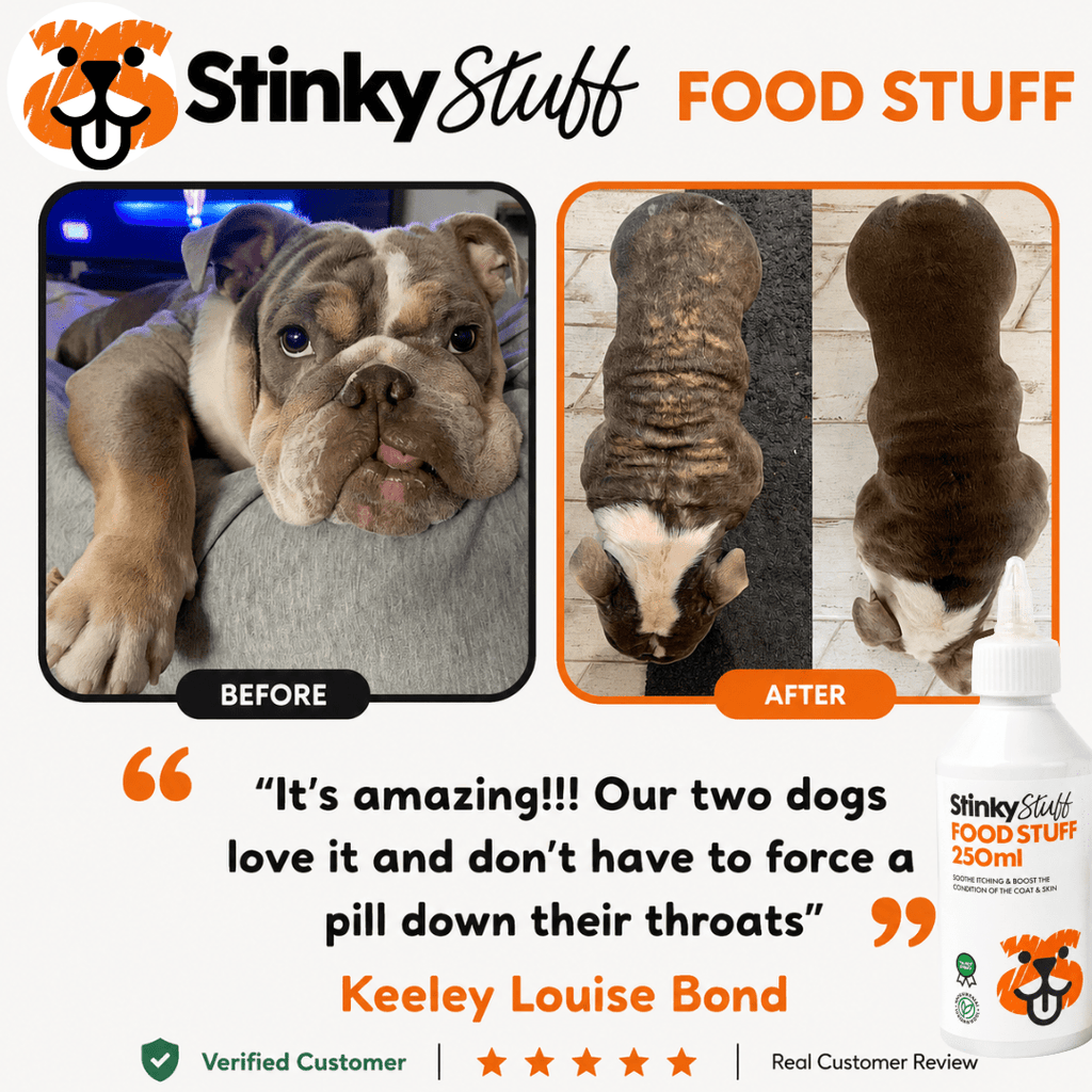 Dog Skin Support Pack product image 4
