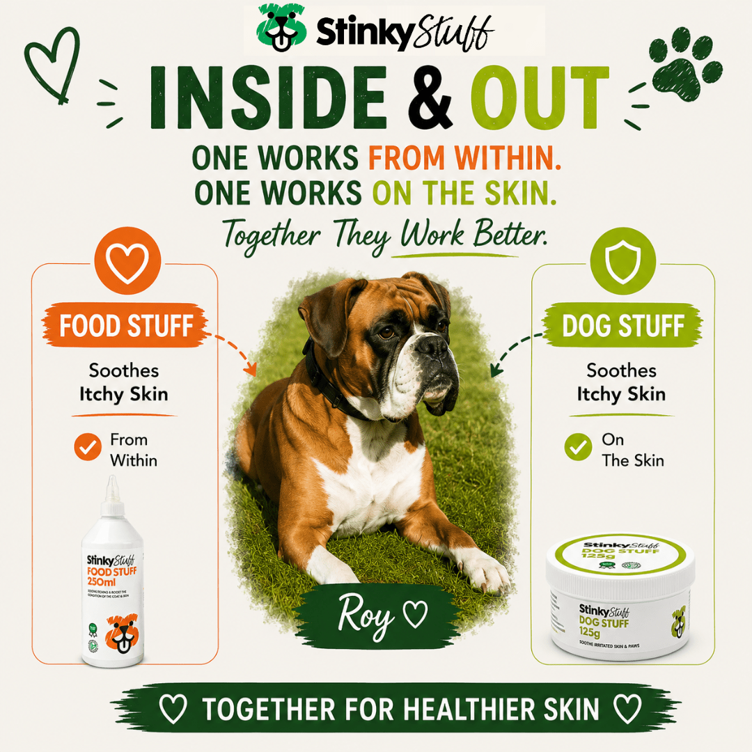 Dog Skin Support Pack product image 5