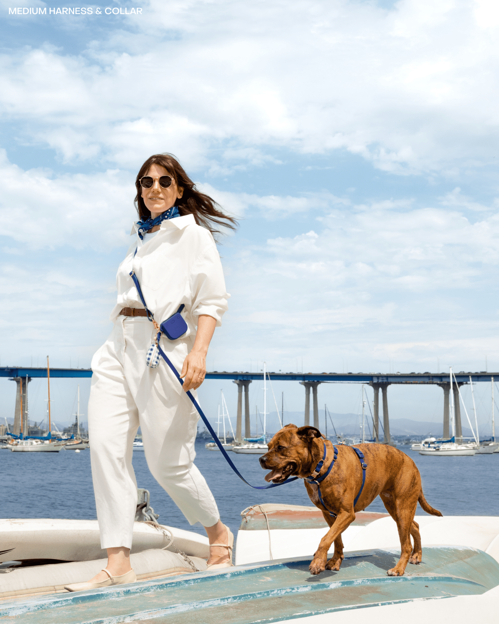 Hands-Free Dog Leash product image 2