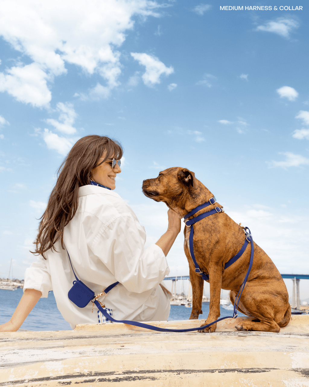 Hands-Free Dog Leash product image 3
