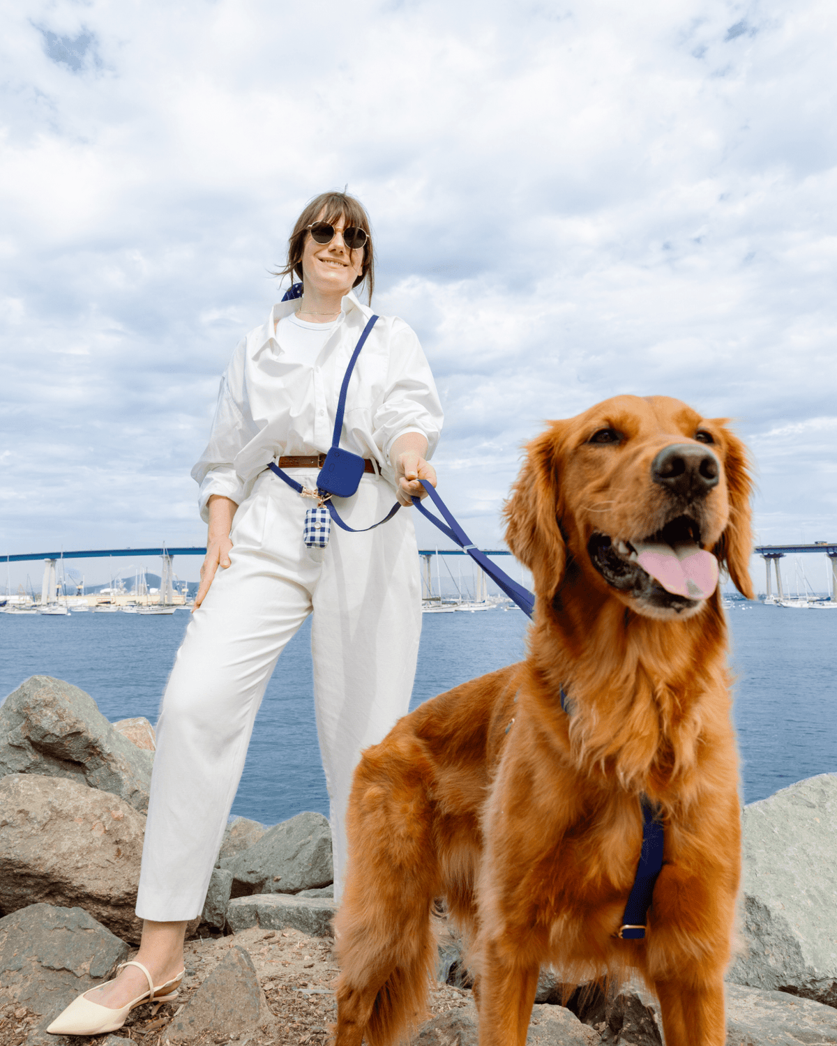 Hands-Free Dog Leash product image 5
