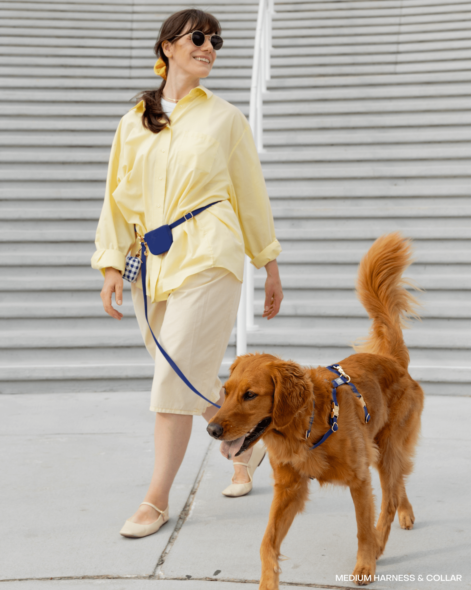 Hands-Free Dog Leash product image 6