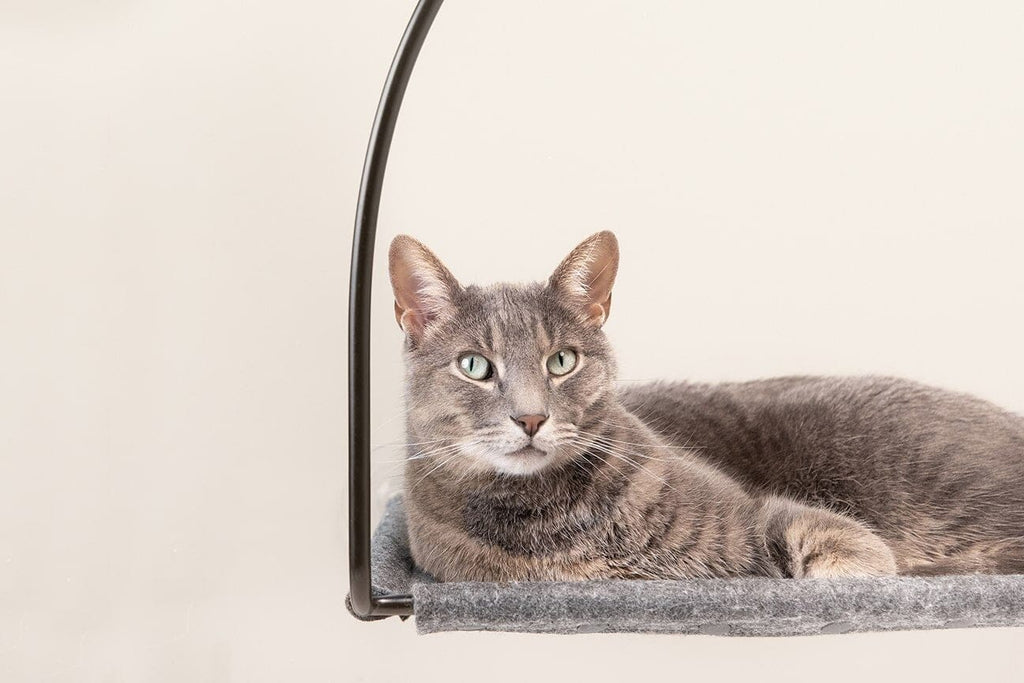 Cat Window Hammock product image 3