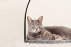 Cat Window Hammock product image 3