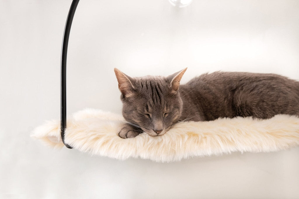 Cat Window Hammock product image 5