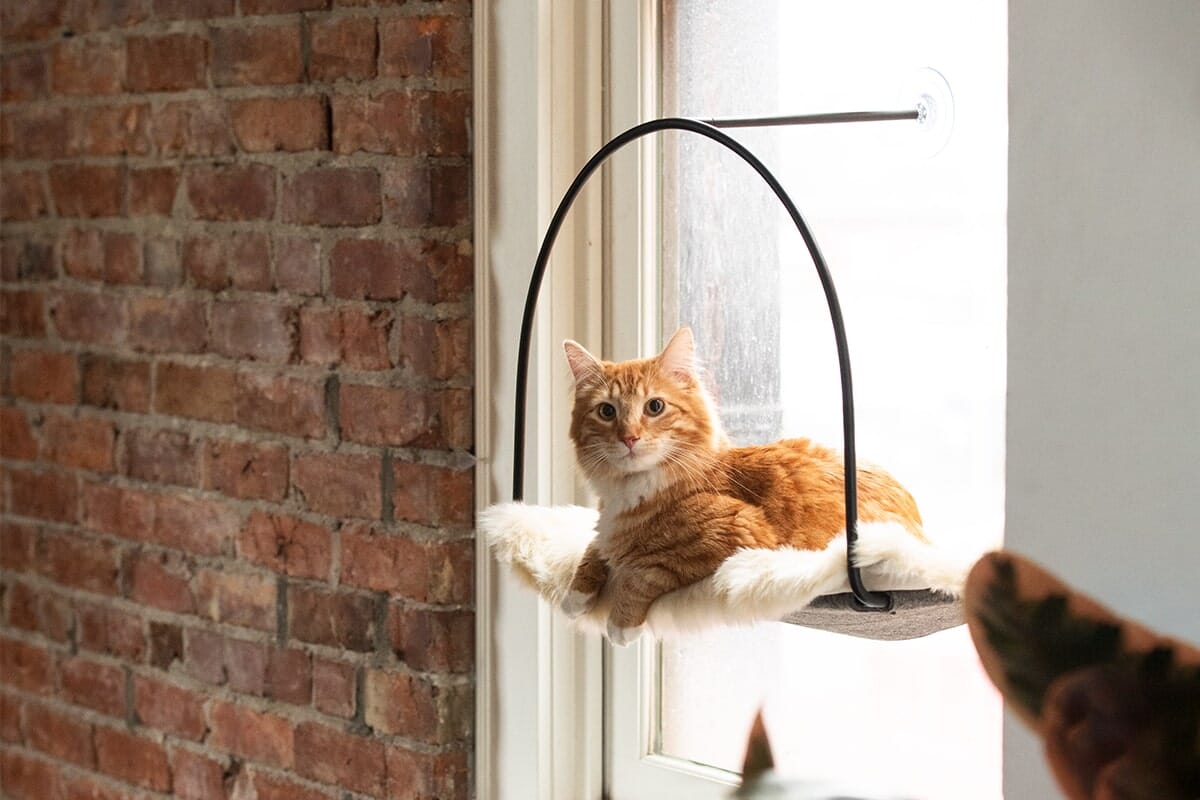 Cat Window Hammock product image 6