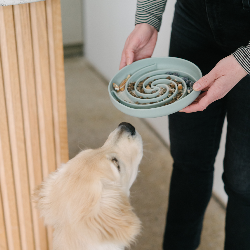Dog Milk Thistle Supplement product image 4