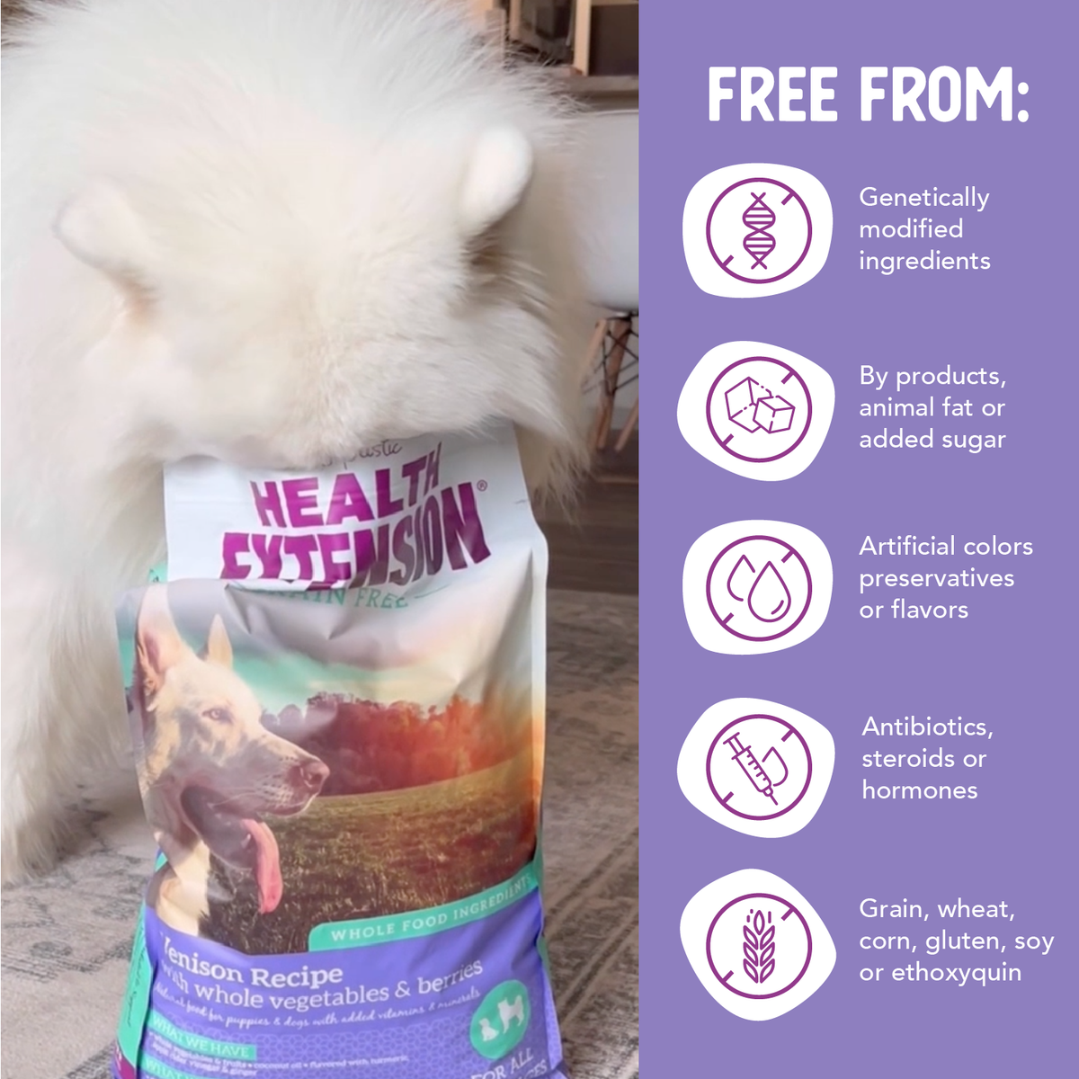Dry Dog Food product image 7