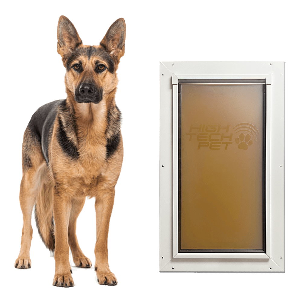 Dog Door product image 1