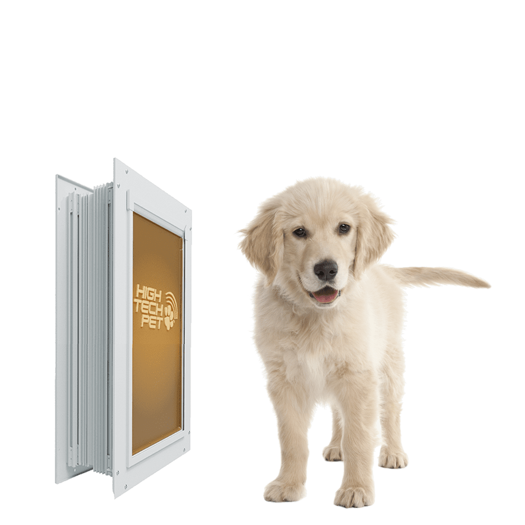 Wall-Mounted Dog Door product image 1