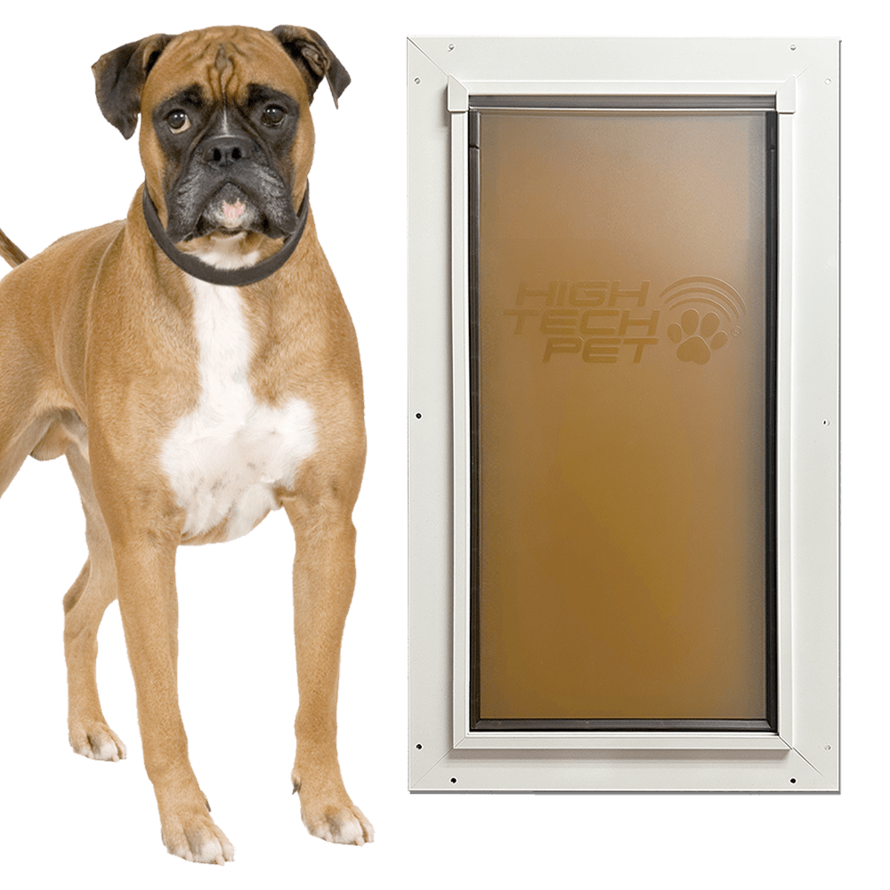 Dog Door product image 1