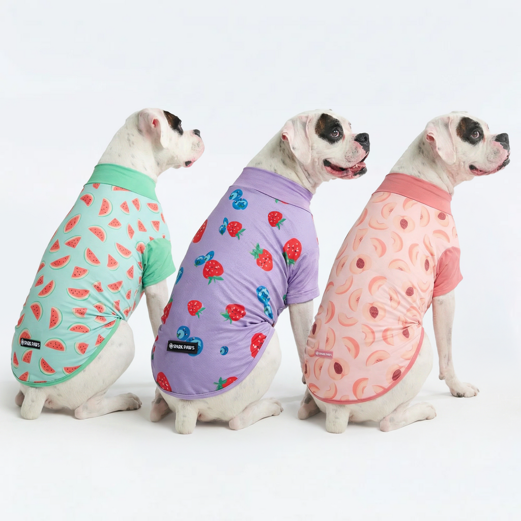 UPF 30 Dog Sun Shirt product image 25