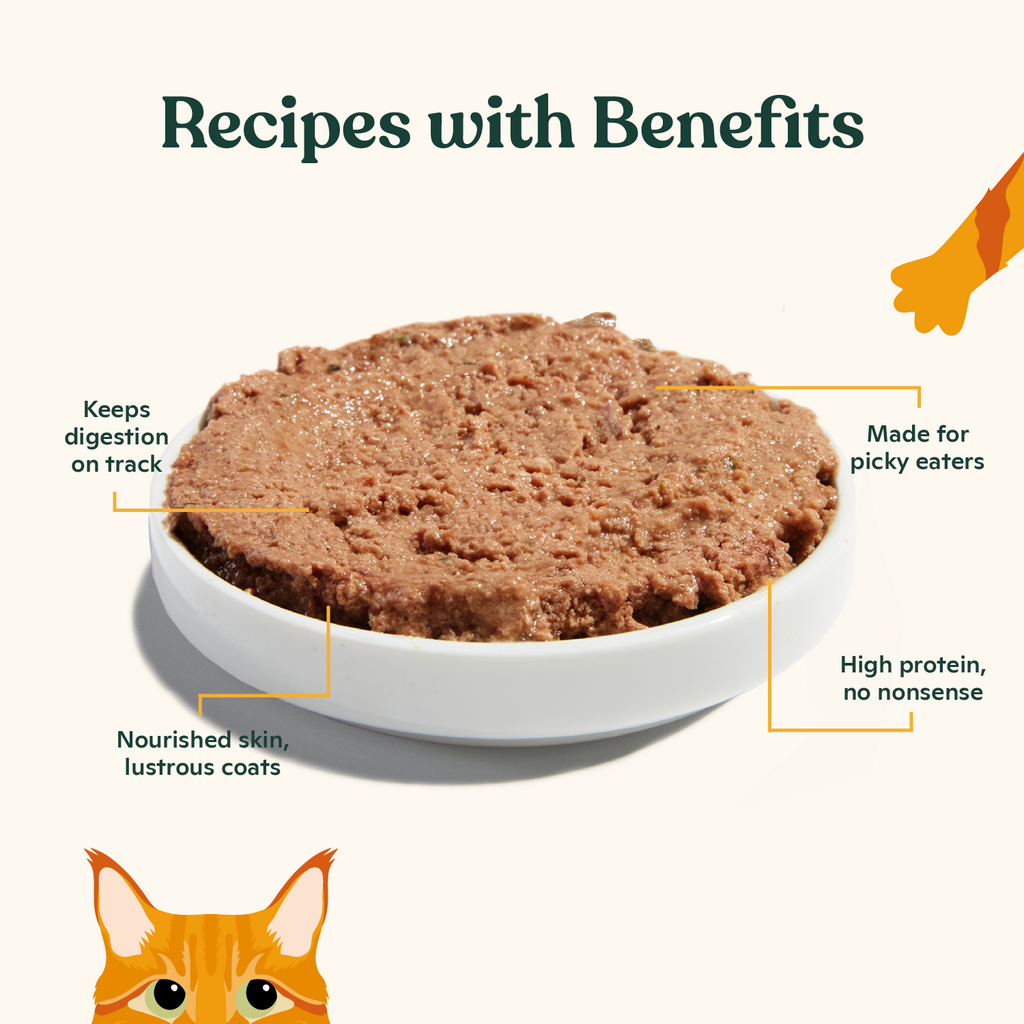 Cat Food product image 3