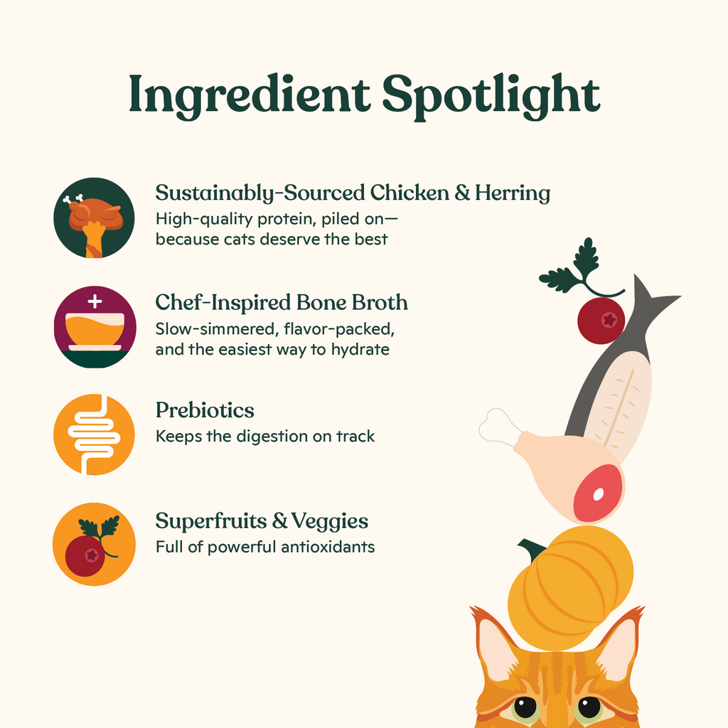 Cat Food product image 4