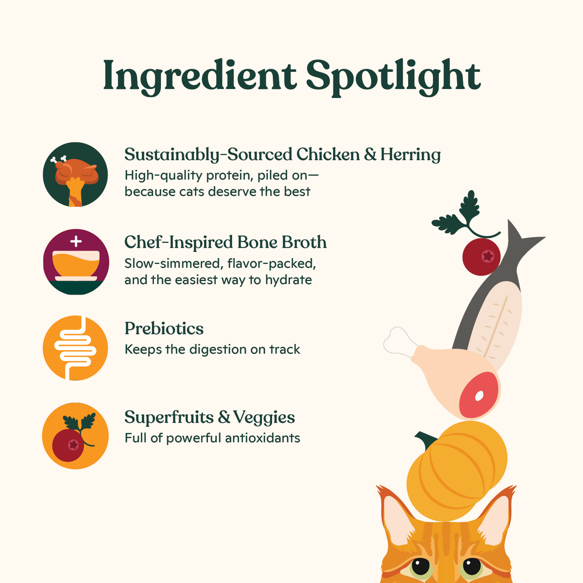 Cat Food product image 4