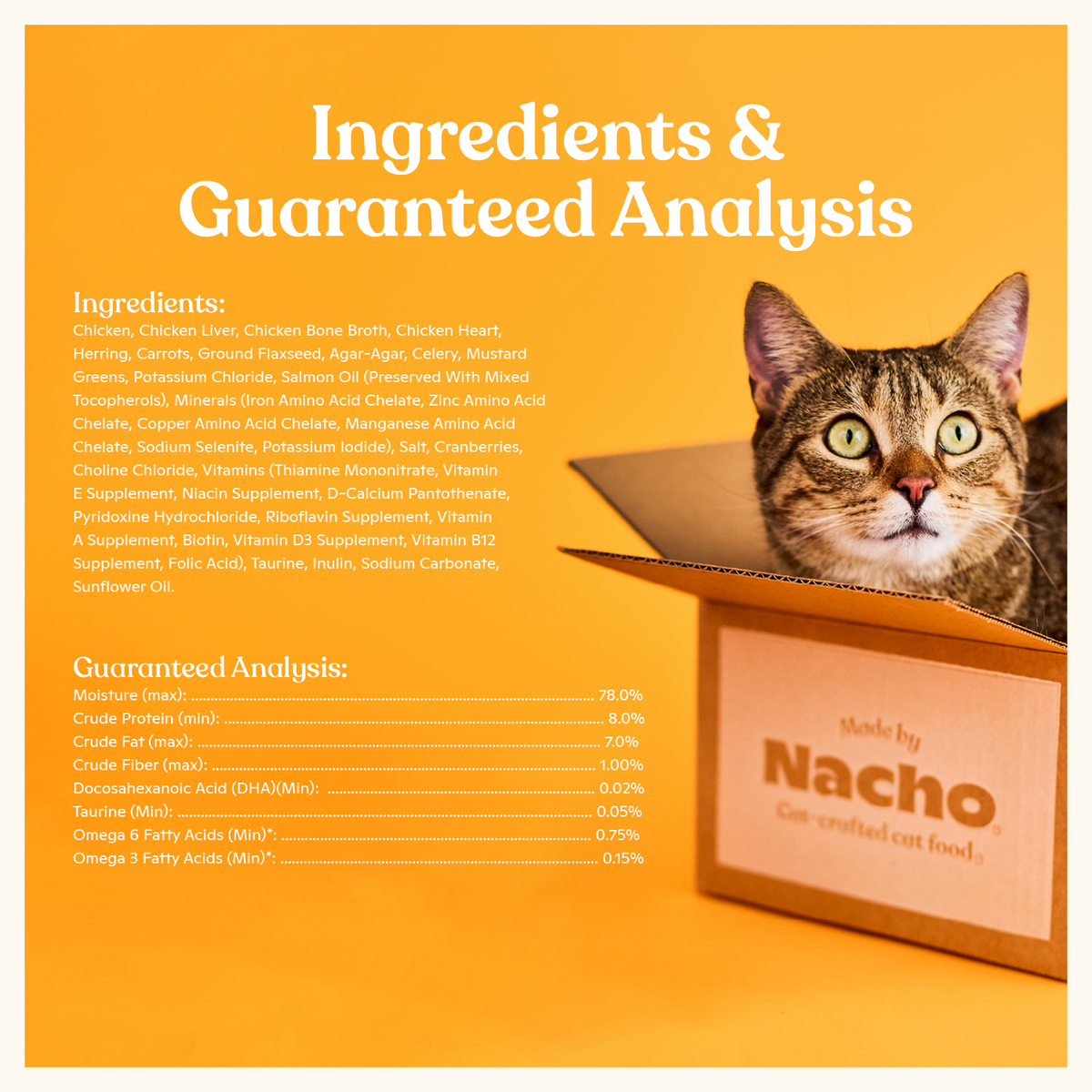 Cat Food product image 5