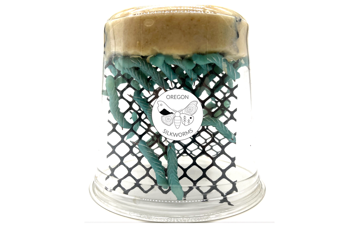 Live Reptile Food product image 1