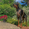 Dog Airtag Harness product image 2