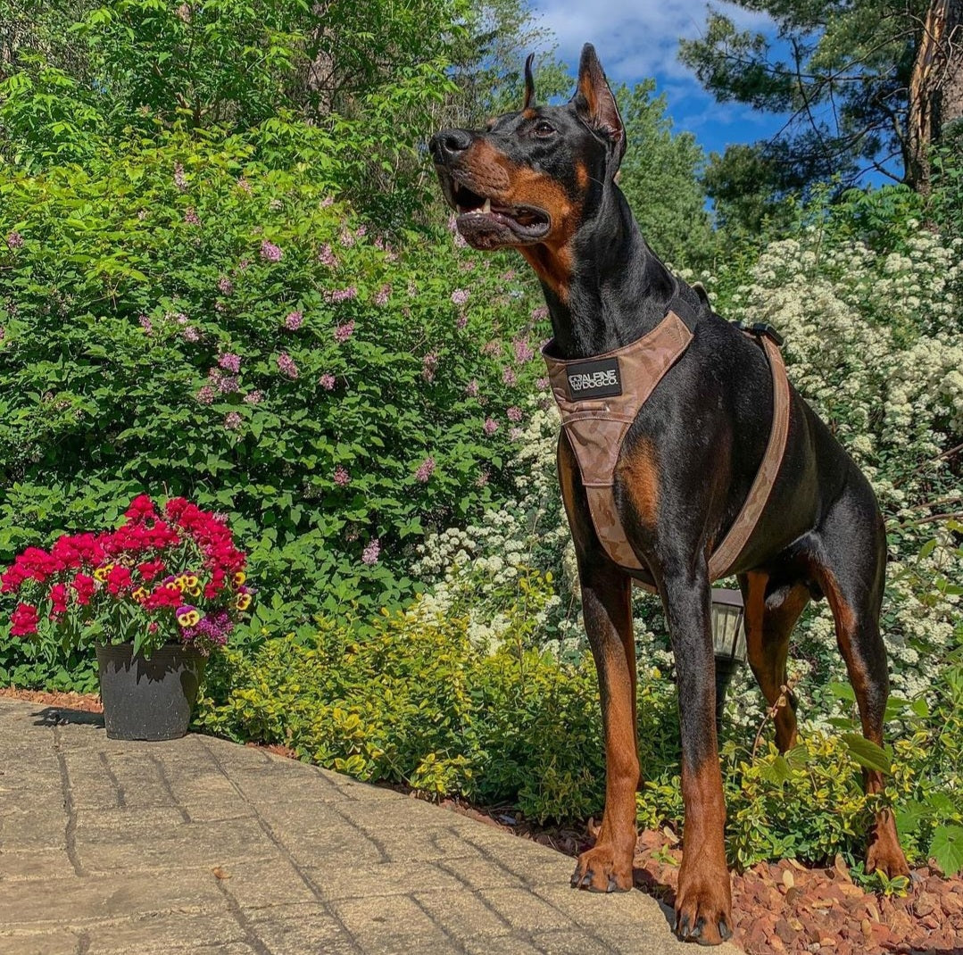 Dog Airtag Harness product image 2