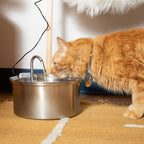 Pet Water Fountain Replacement Filters product image 5