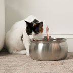 Pet Water Fountain Replacement Filters product image 7
