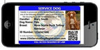 Service Dog Registration Package product image 4