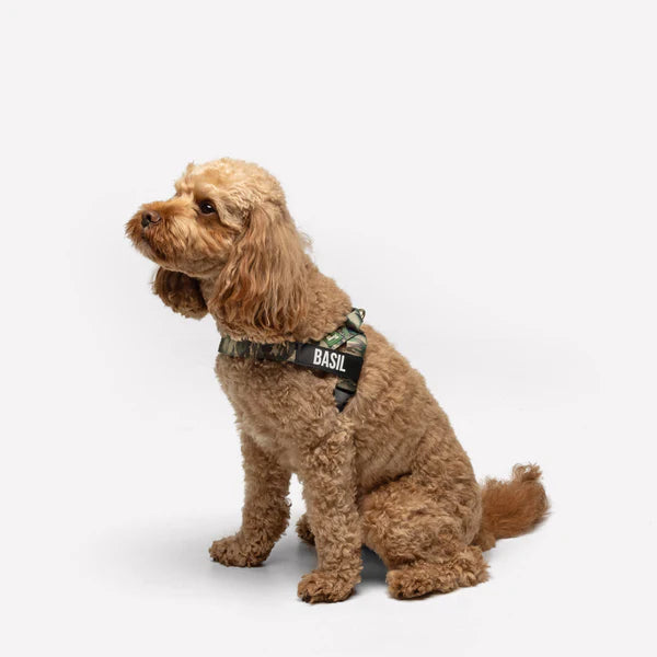 Adjustable Grab-Handle Dog Harness product image 47