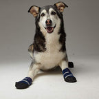 Dog Booties product image 2