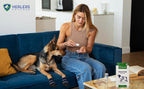 Dog Booties product image 12