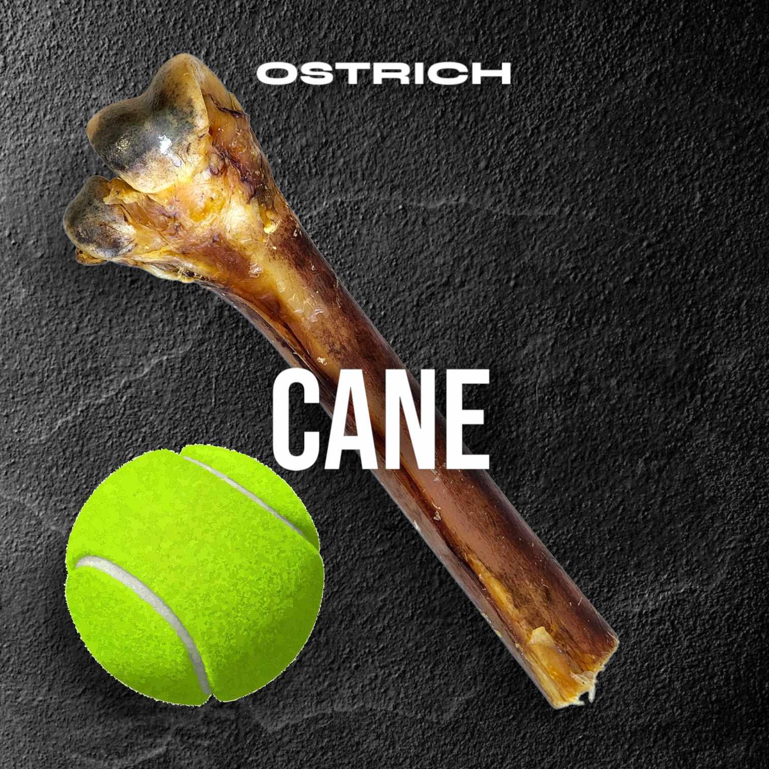 Ostrich Cane Dog Chew product image 2