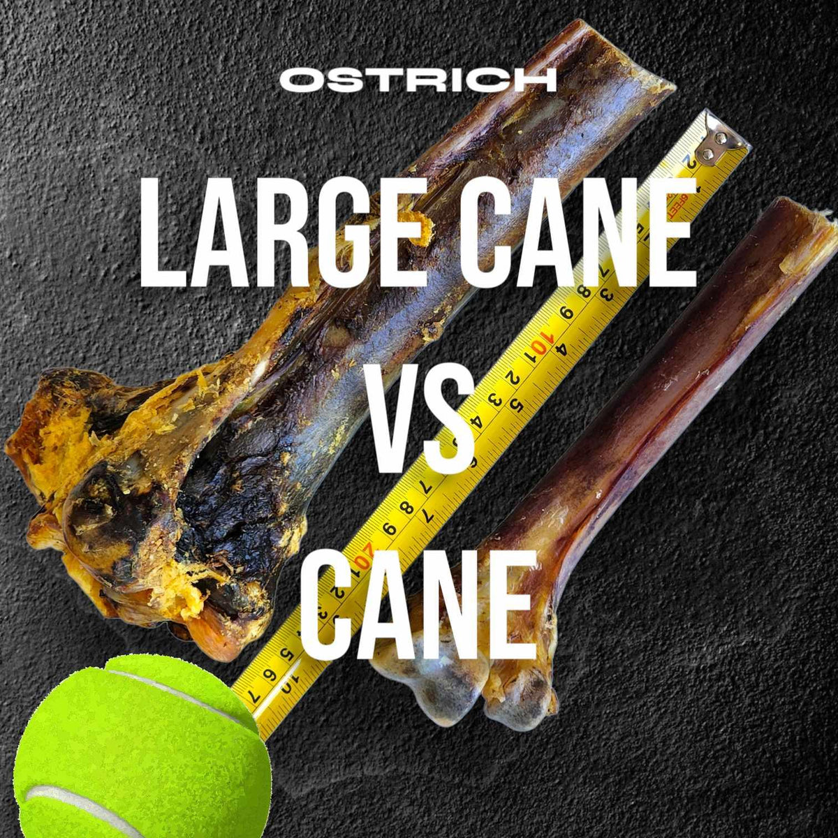 Ostrich Cane Dog Chew product image 3
