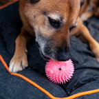 Squeaky Dog Ball product image 2