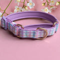 Martingale Dog Collar product image 1