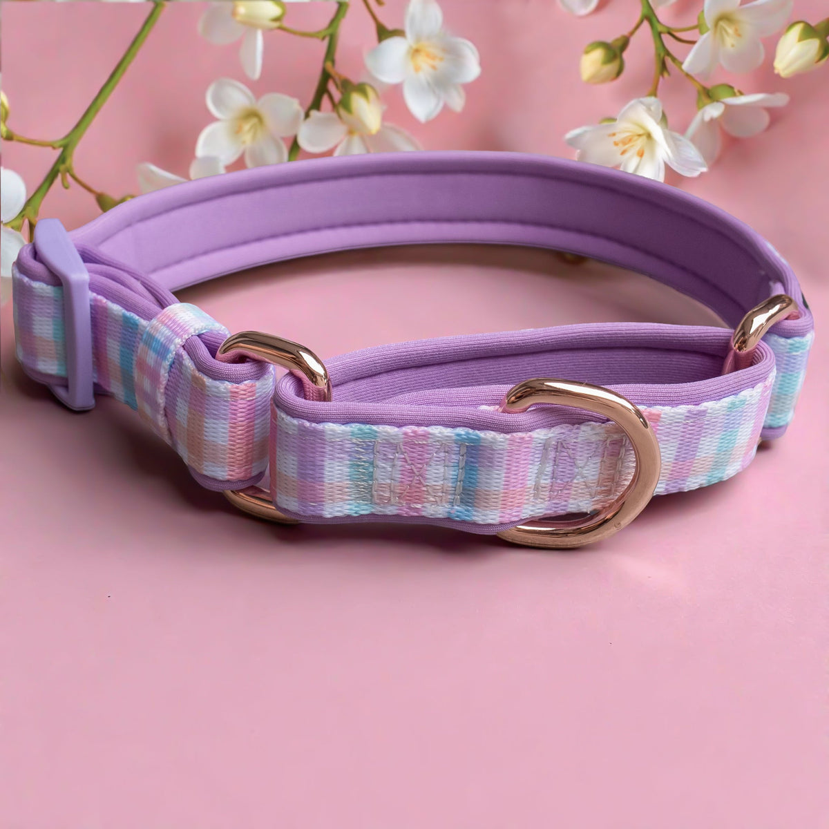 Martingale Dog Collar product image 1