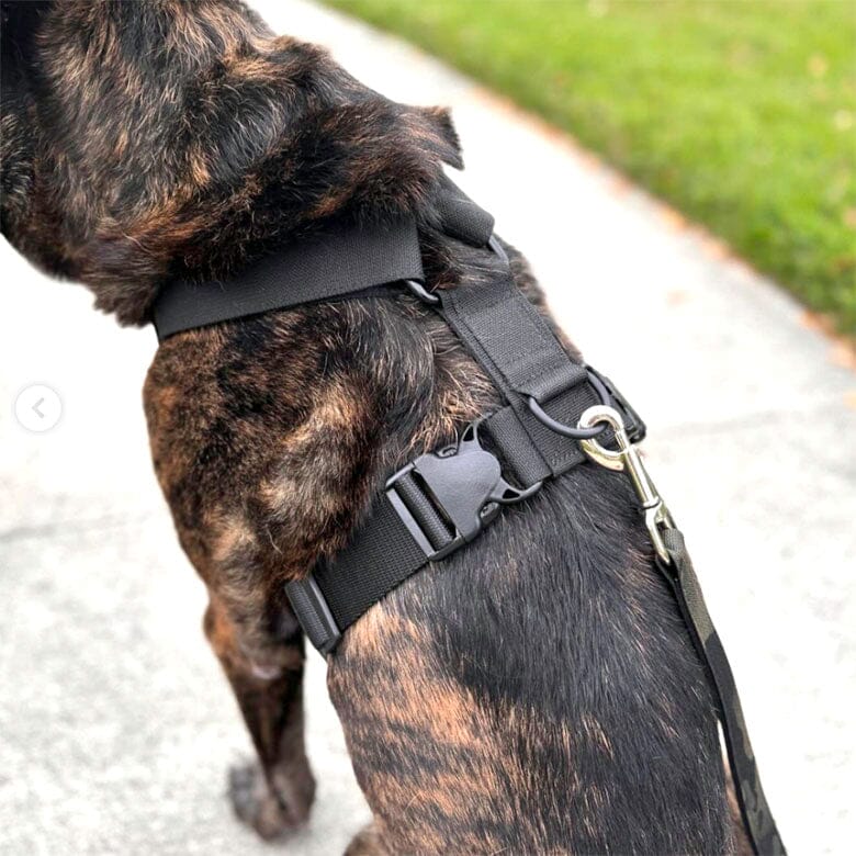 Dog Harness product image 5