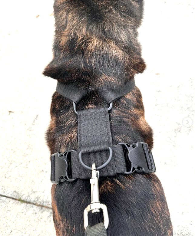 Dog Harness product image 6