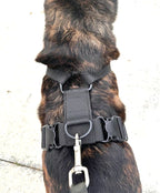 Dog Harness product image 6