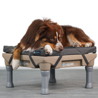 Memory Foam Dog Bed product image 2