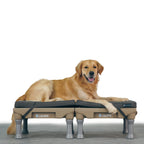 Memory Foam Dog Bed product image 4