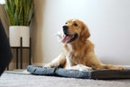 Memory Foam Dog Bed product image 5