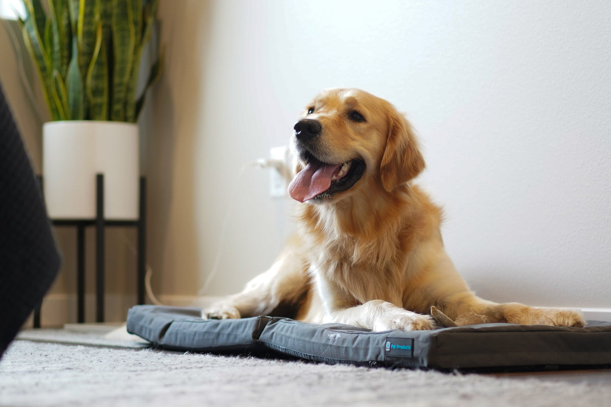 Memory Foam Dog Bed product image 5