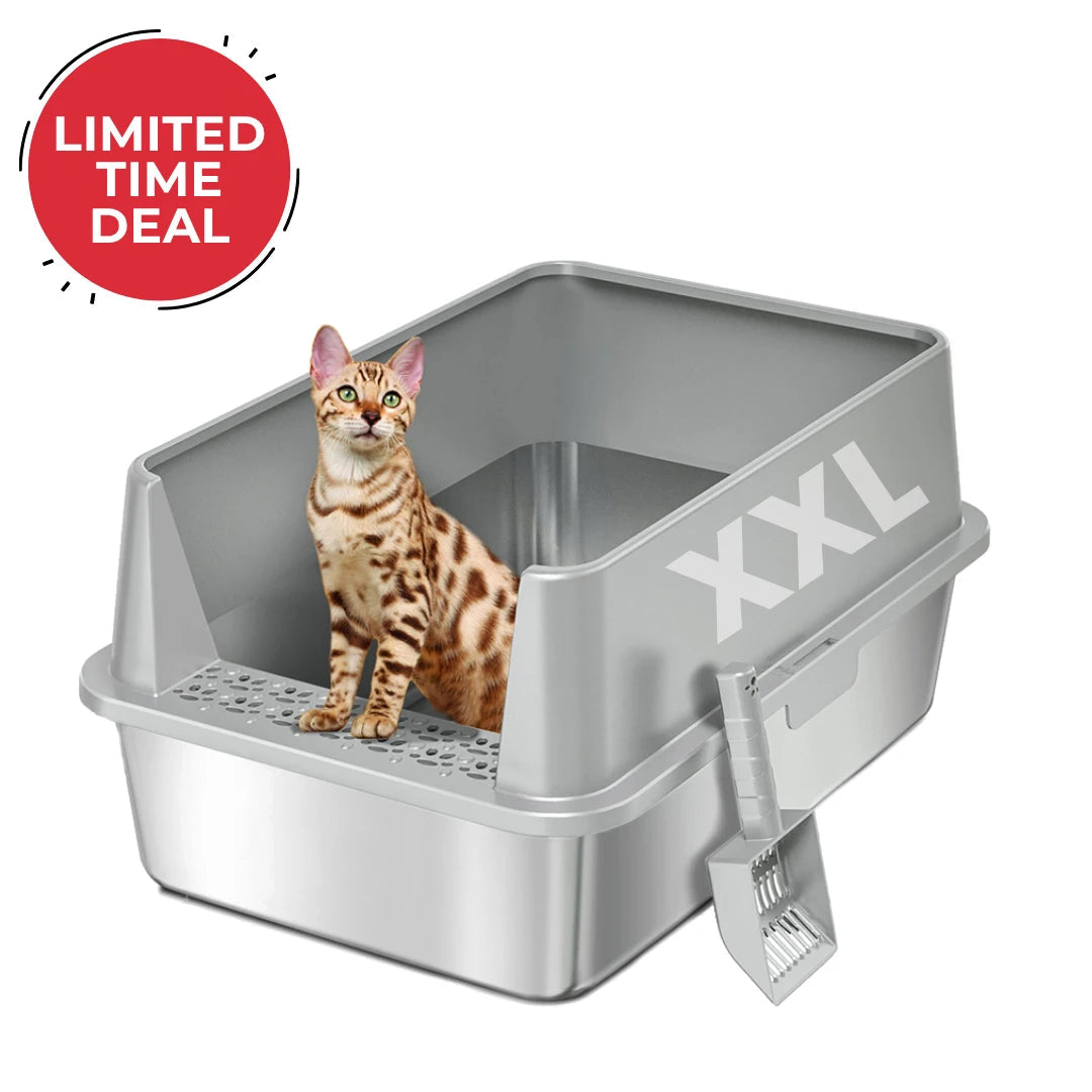 Cat sitting in a large gray cat litter box with 'XXL' branding and a 'Limited Time Deal' badge.