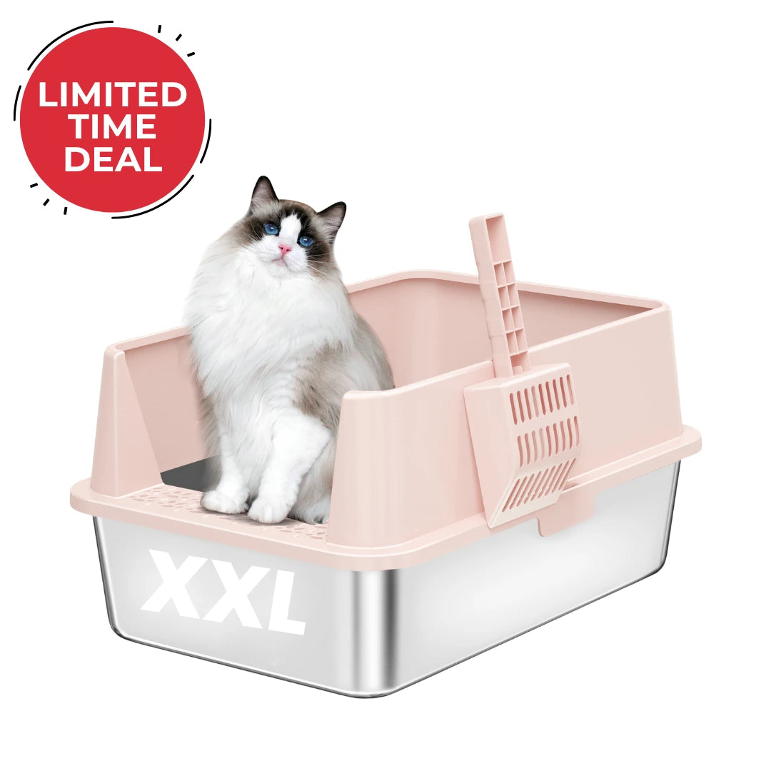 Cat sitting inside a pink and clear XXL litter box with a 'Limited Time Deal' label.