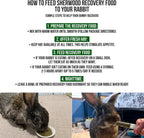 Rabbit Recovery Food product image 12