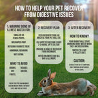 Rabbit Recovery Food product image 13