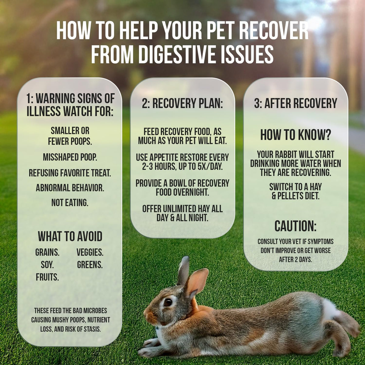 Rabbit Recovery Food product image 13