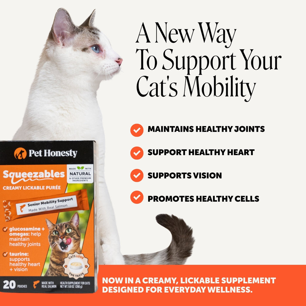 Cat Joint Supplement product image 2