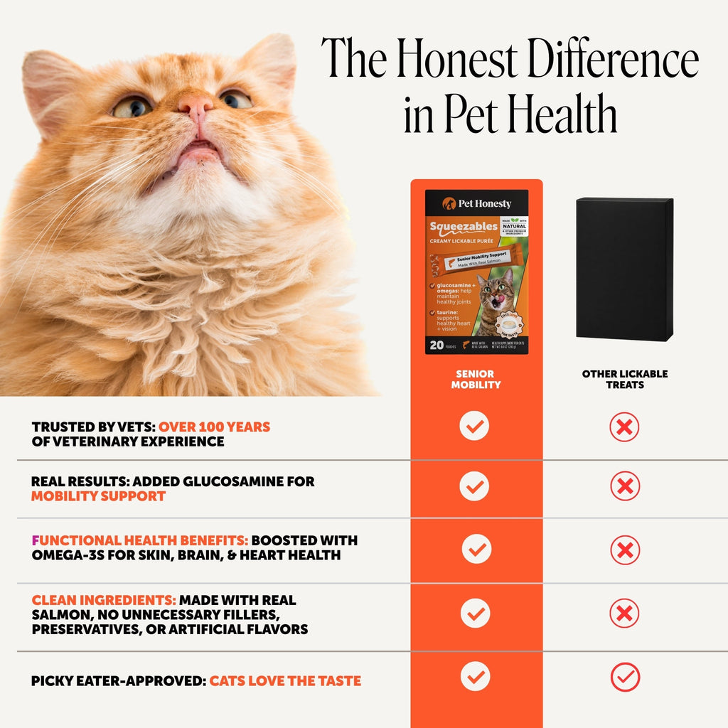 Cat Joint Supplement product image 4